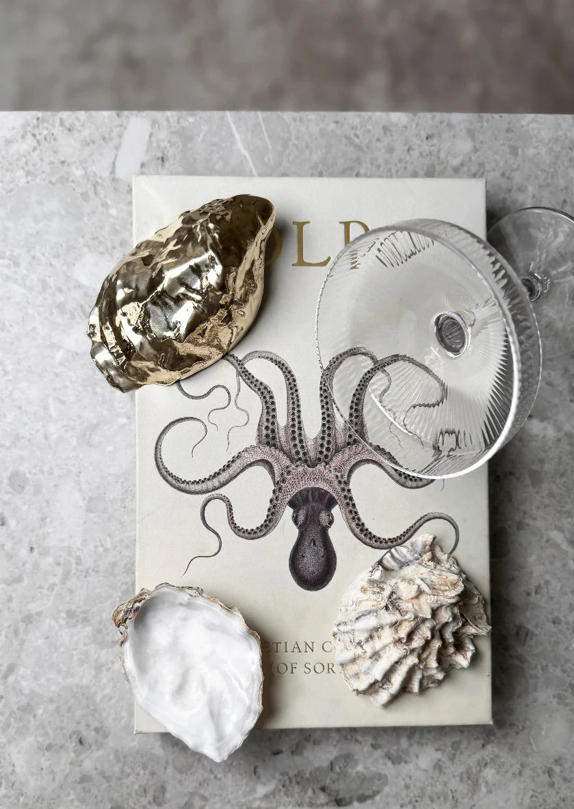 Bottle Opener | Oyster Shell