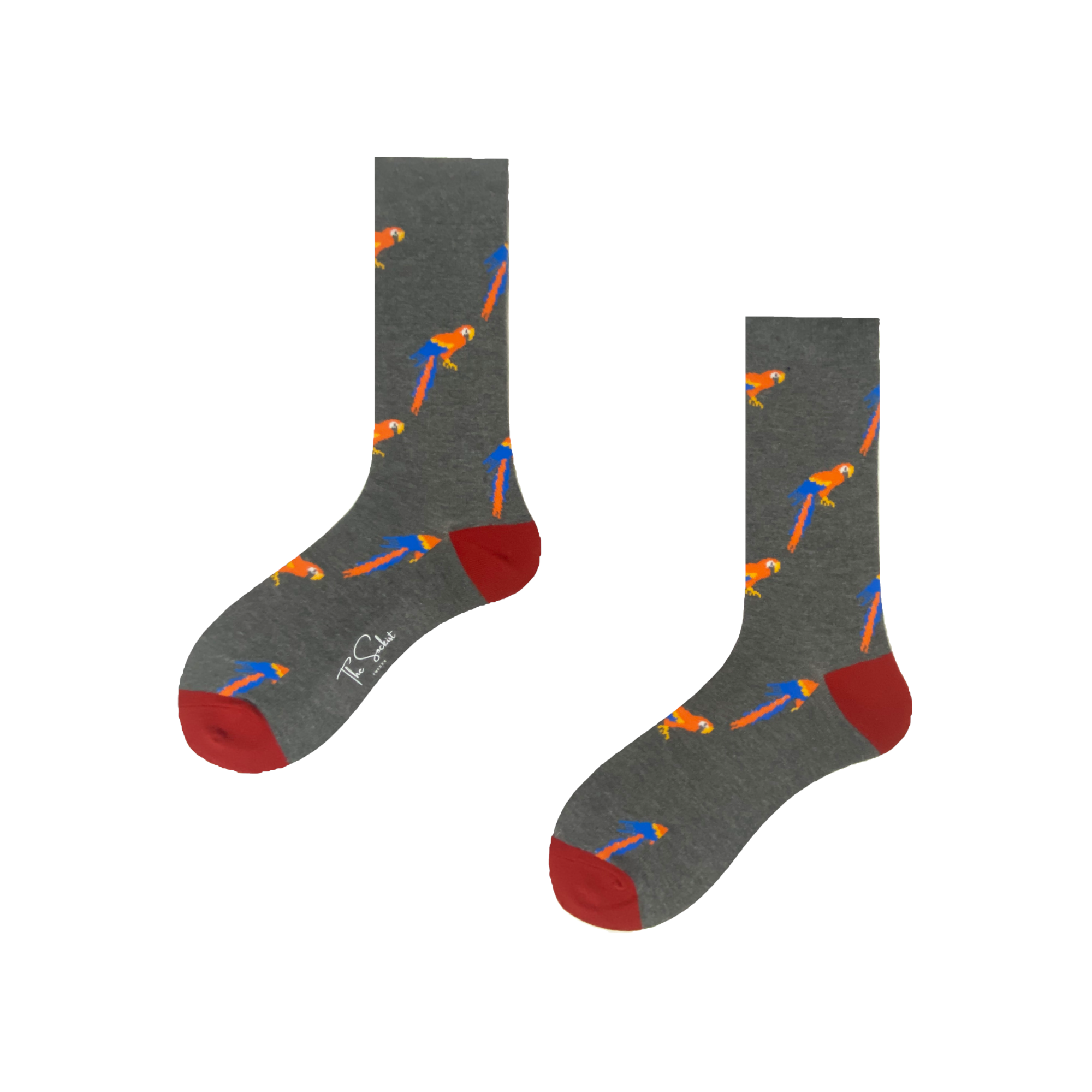 Socks | Parrots | Cotton