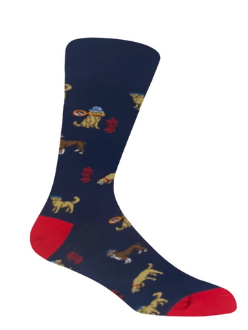 the-sockist-happy-fun-socks-sweden-stockholm-shop-happyfeet-socks-men-socks-unisex-socks-chase