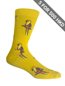 Socks | Macaw | Cotton