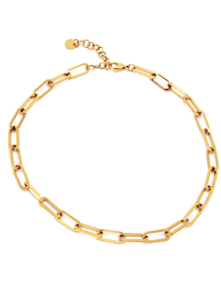 Frances Link Necklace in 18K Gold Plated Stainless Steel, elegant gold chain accessory by The Sockist