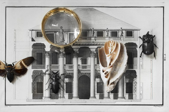 Magnifying Glass | Pallina - STOCKHOLM 