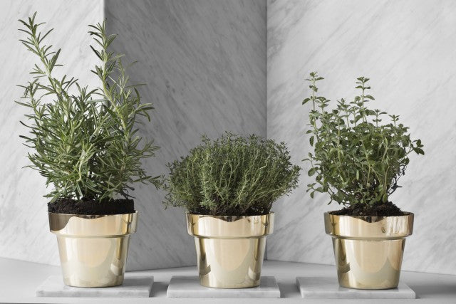 Pot | Polished Brass | Small - STOCKHOLM 