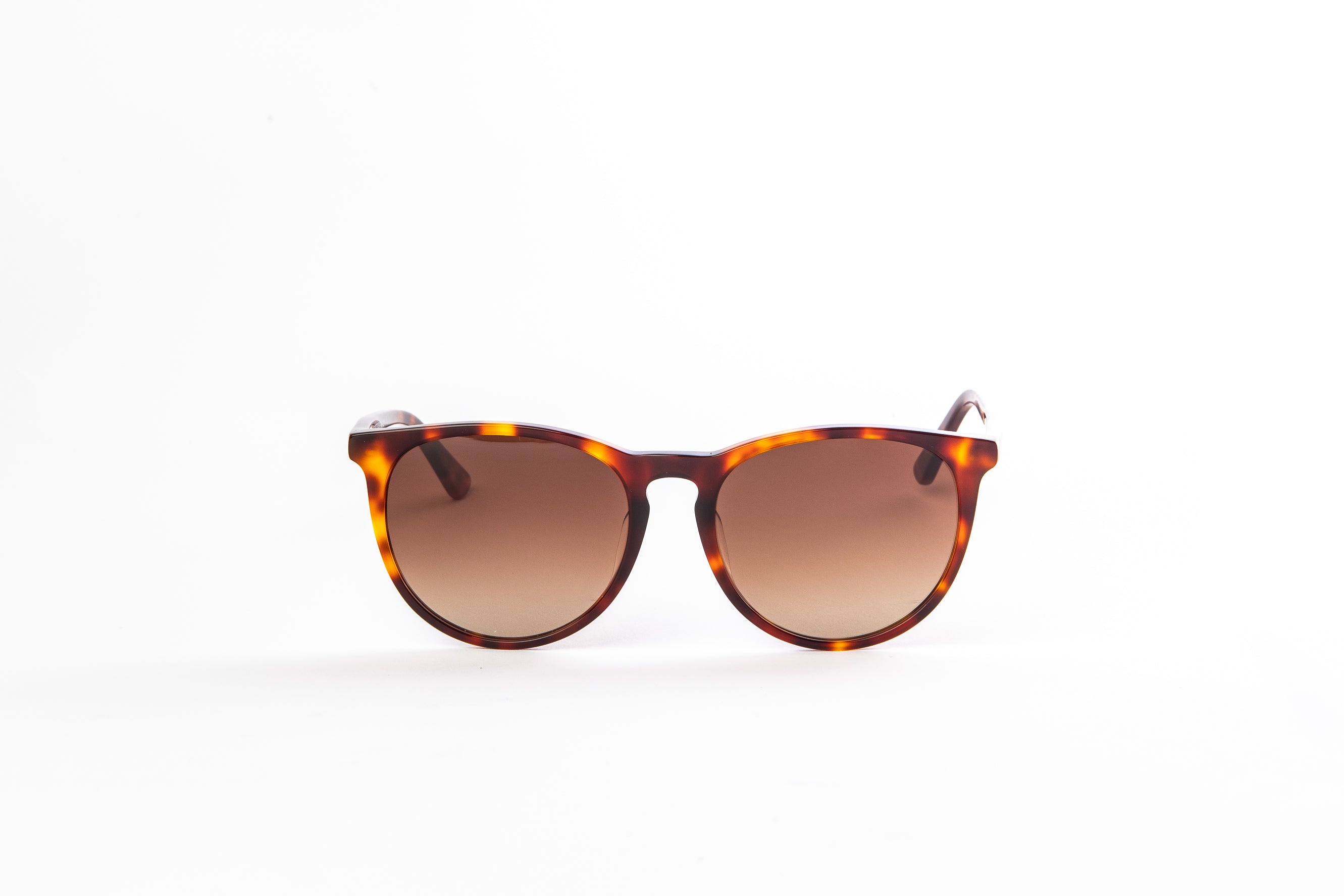 Sunglasses | KOMOREBI | Turtle