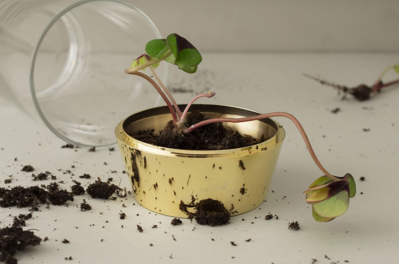 Greenhouse | Liv - STOCKHOLM 